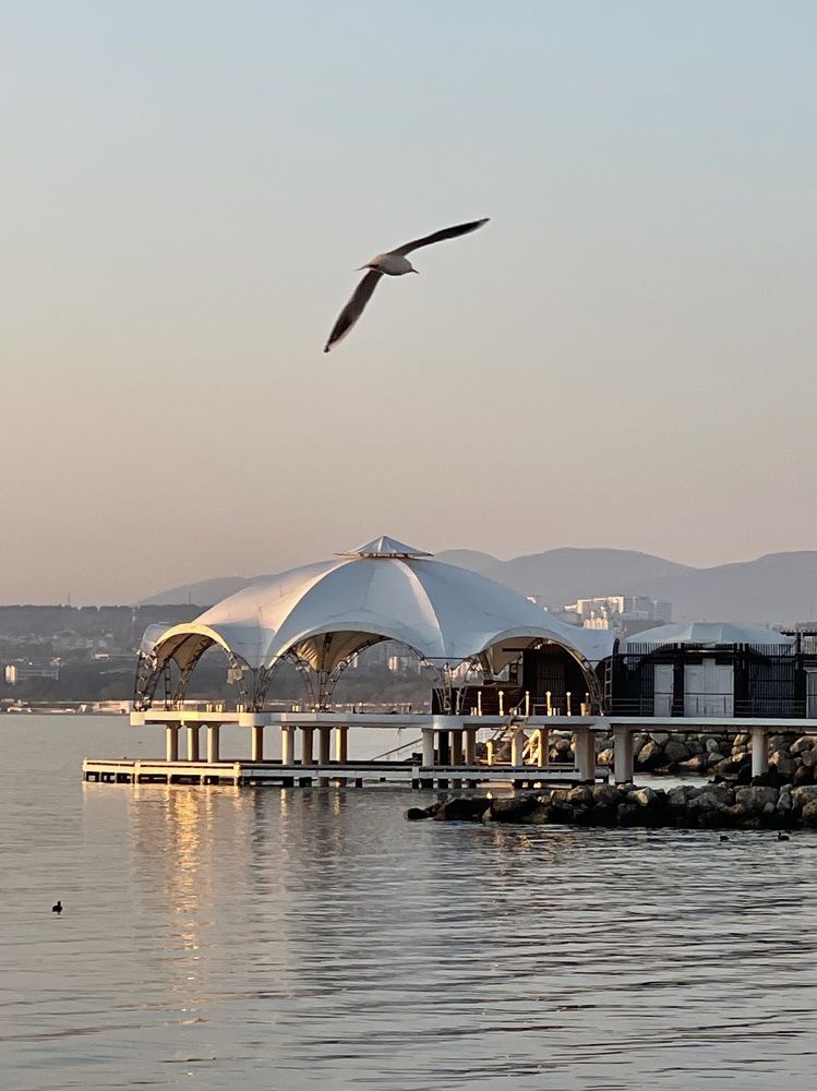 Photograph by Татьяна