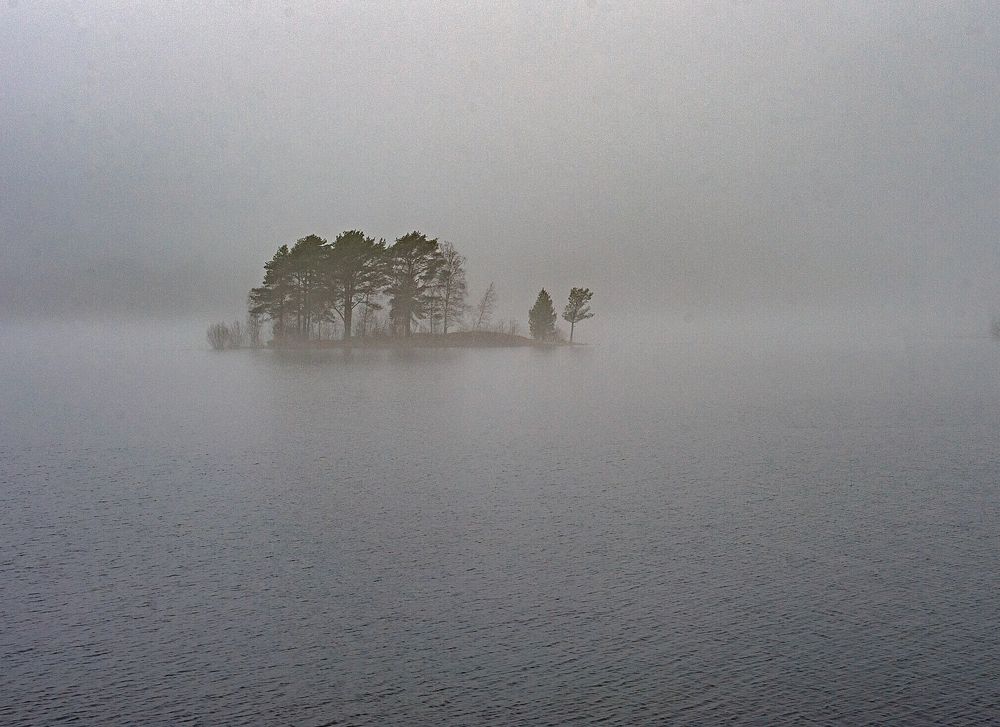 Photograph by Дмитрий Рассыльщиков