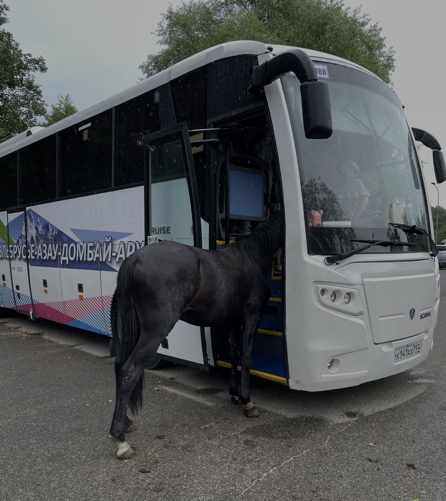 Photograph by Татьяна