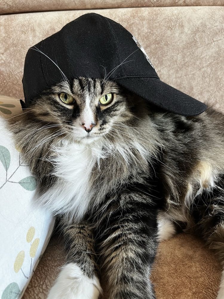 Photograph by Nina Semikhvatskya