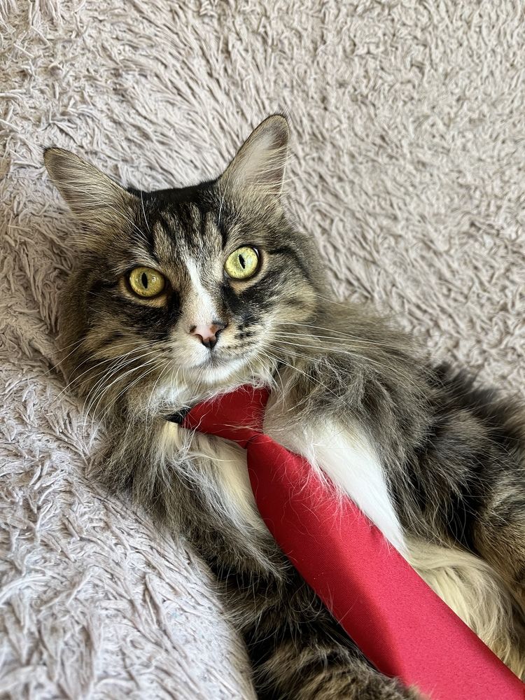 Photograph by Nina Semikhvatskya