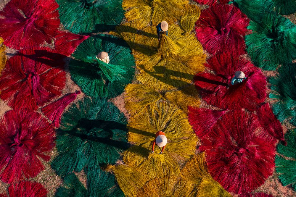 Flowers on the sedge drying yard