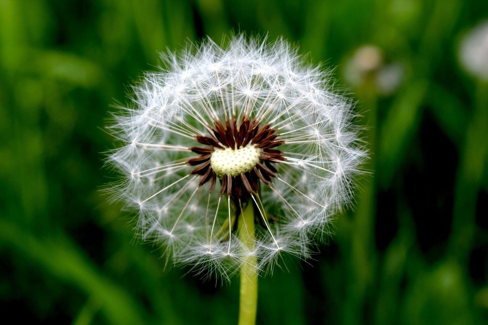 Photograph by Vyacheslav Popov