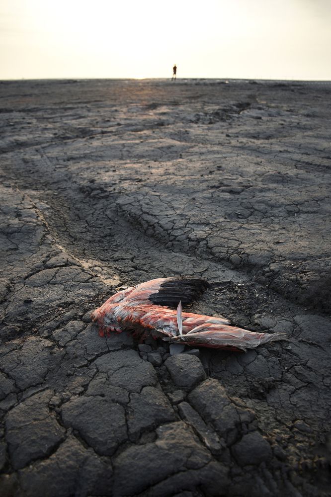 Фотография автора Mohammad amin Naderloei