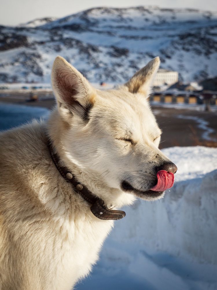 Photograph by Anna Levina