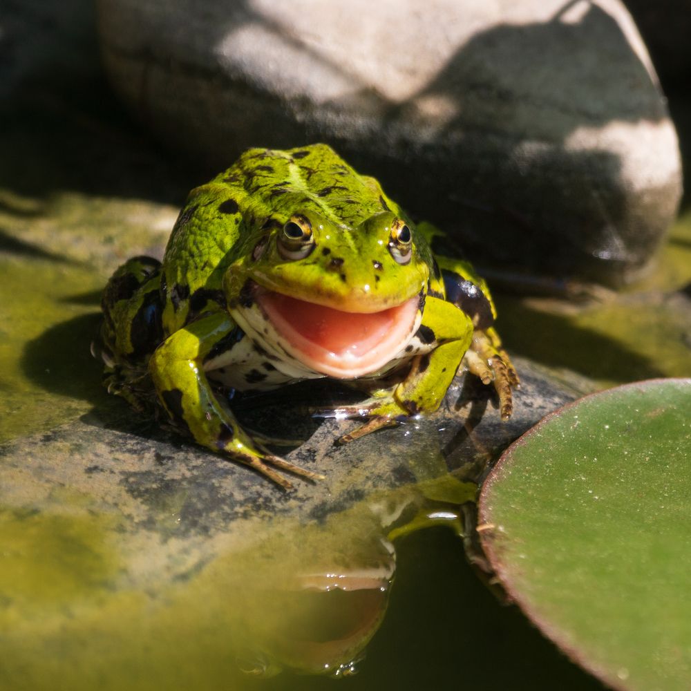 Photograph by Anna Levina