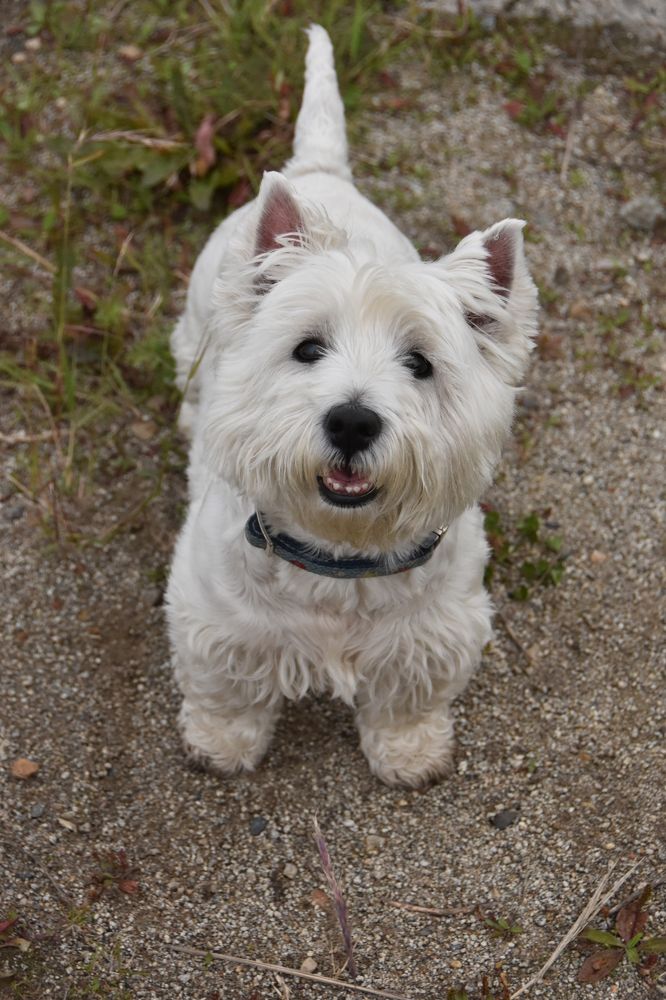 Photograph by Евгений Захаров