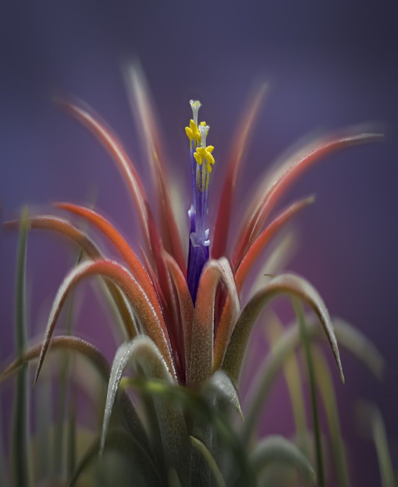 Photograph by Черновол Валентин