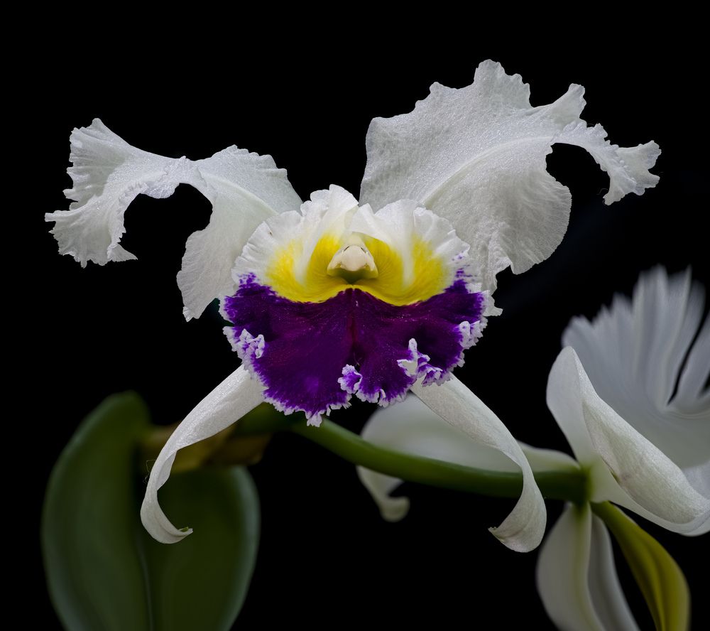 Фотография автора Черновол Валентин