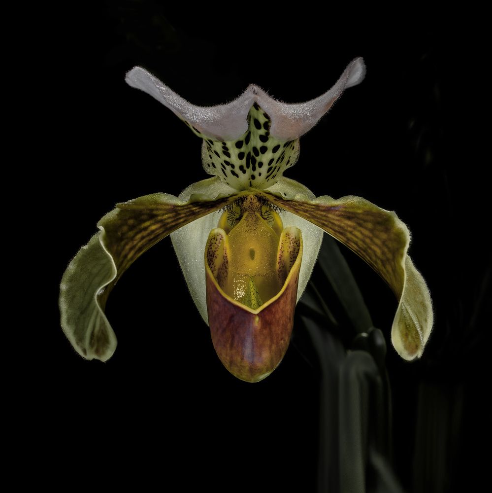 Фотография автора Черновол Валентин