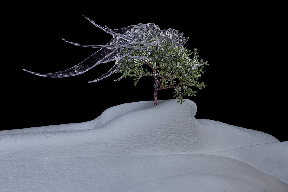 Фотография автора Черновол Валентин