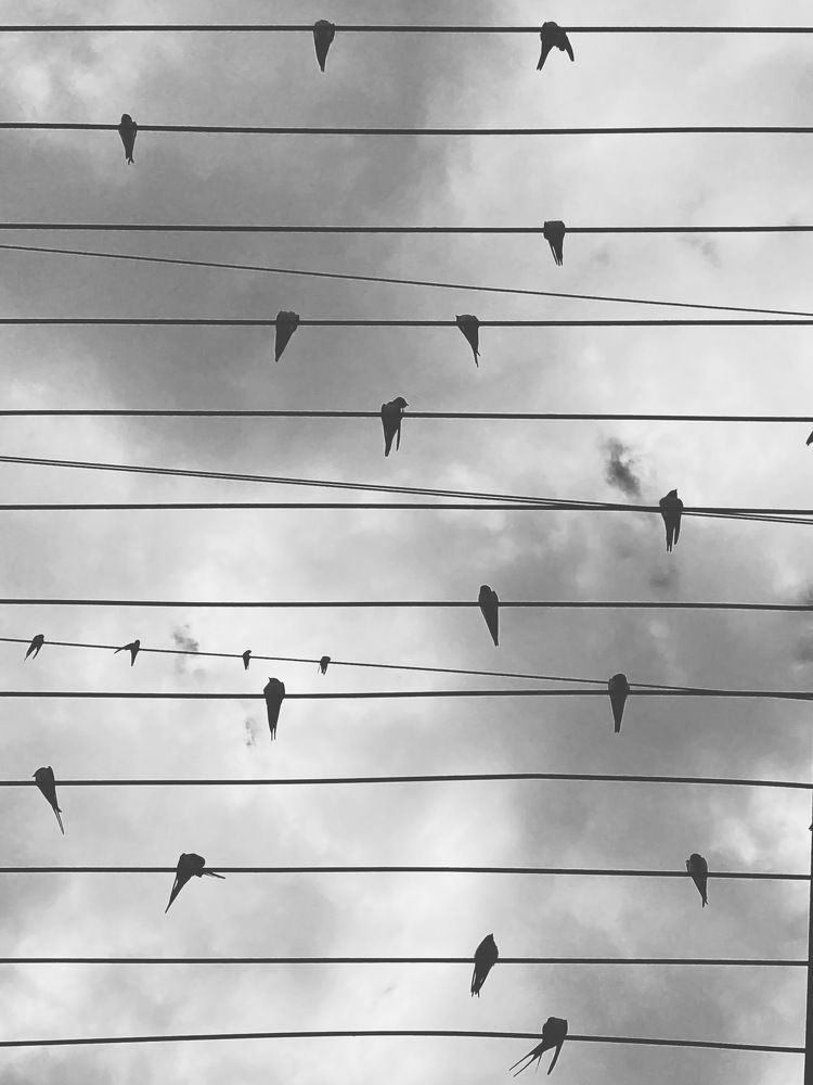 Photograph by Мария Акимова