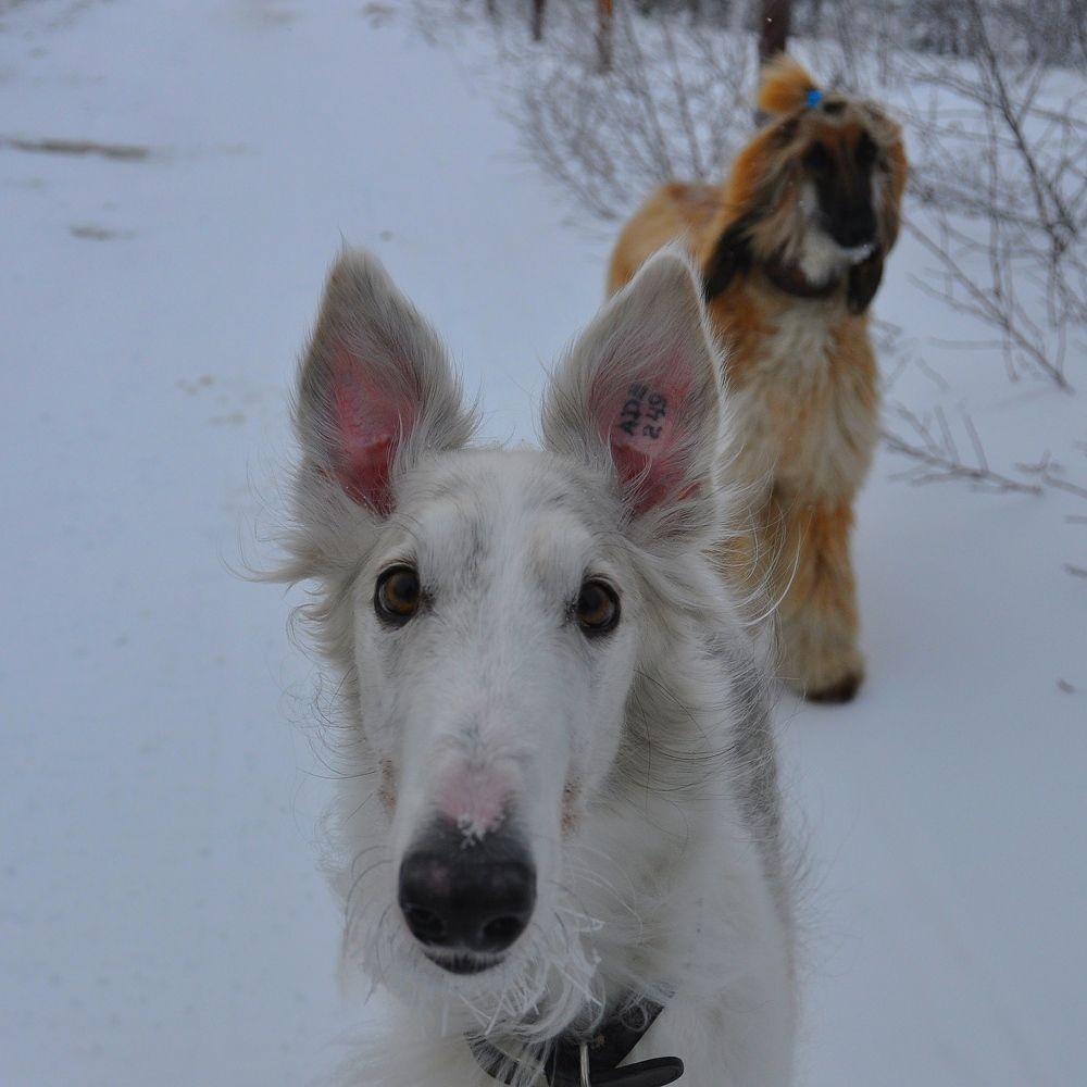 Photograph by Евгений Захаров