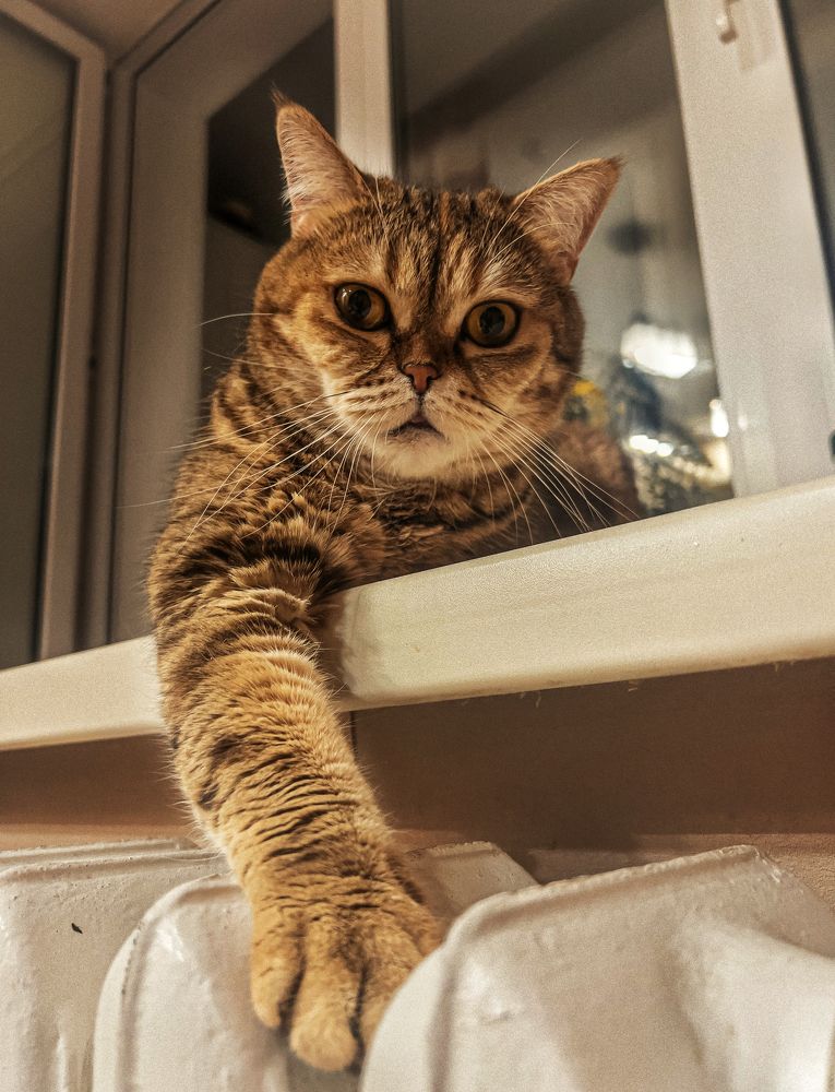 Photograph by Евгения/303284