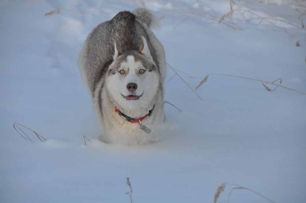 Photograph by Евгений Захаров