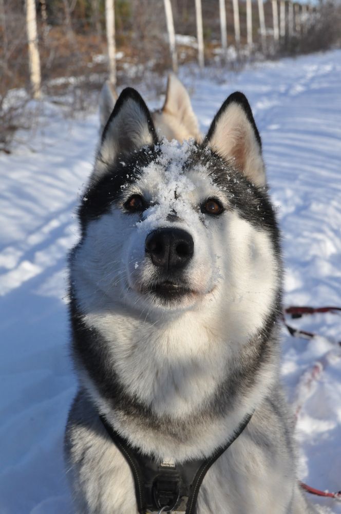 Photograph by Евгений Захаров