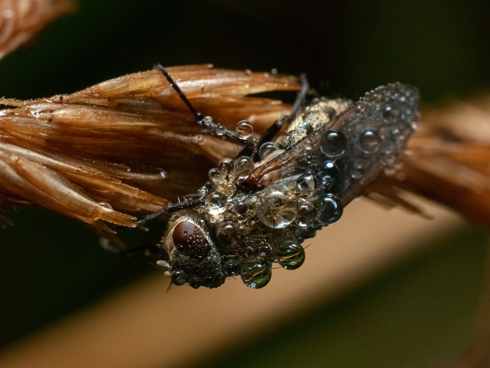 Photograph by Екатерина Котляренко