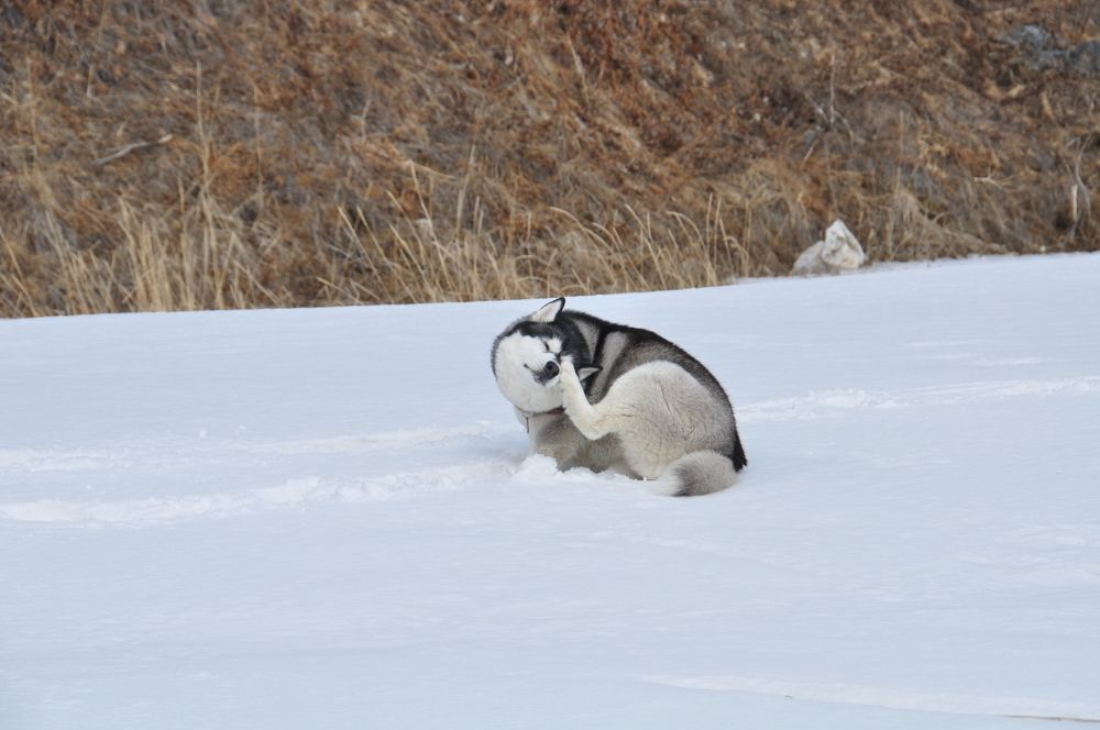 Photograph by Евгений Захаров