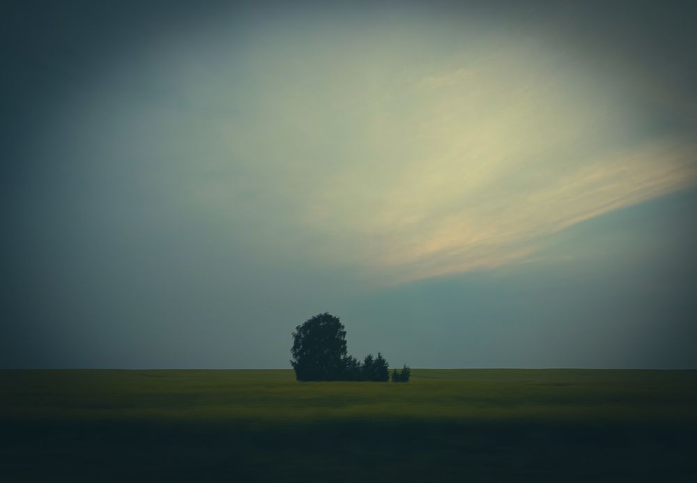 Photograph by Александра Петрова