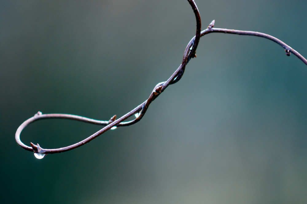 Photograph by Иван Бондаренко