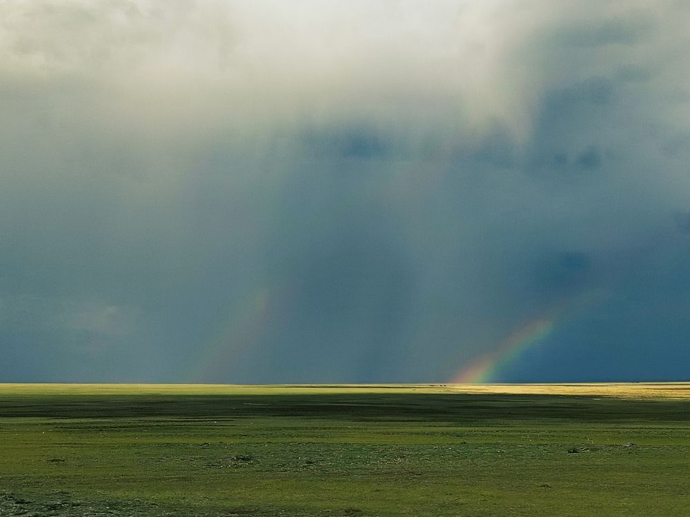 Photograph by Александра Петрова