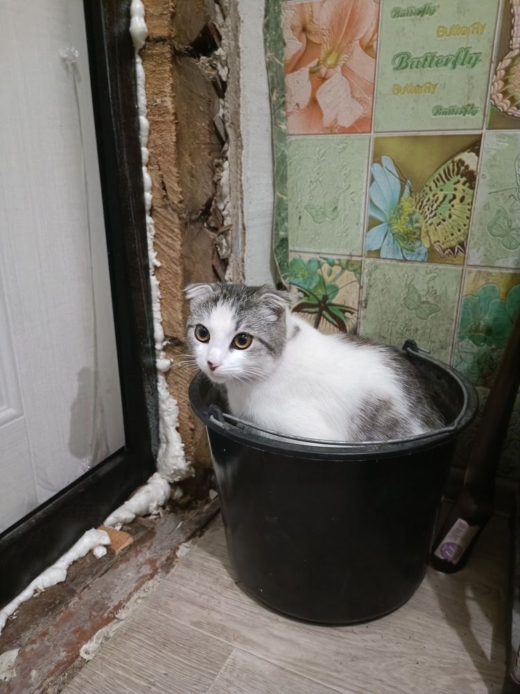 Photograph by Светлана Солдатченкова