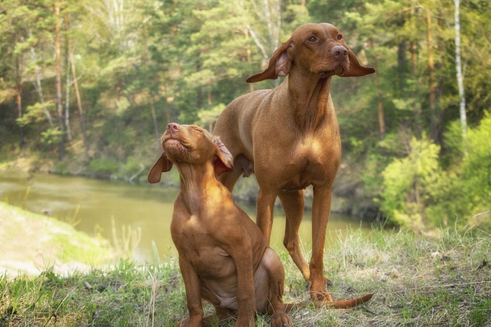 Photograph by Юлия Лушникова