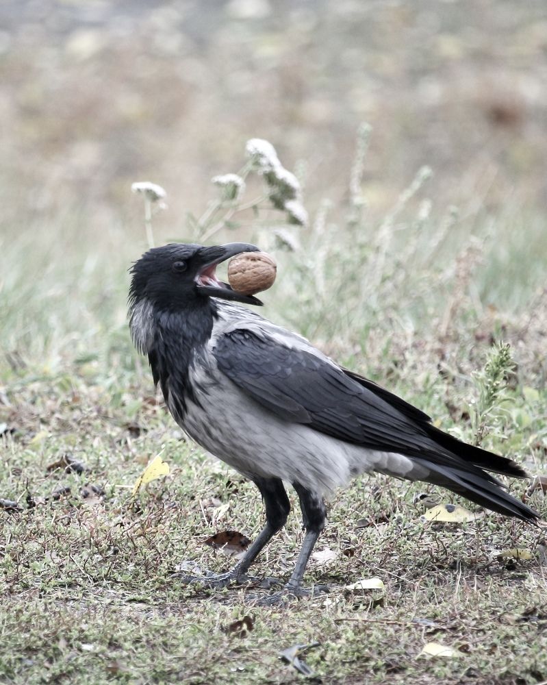 Photograph by Александр Затямин