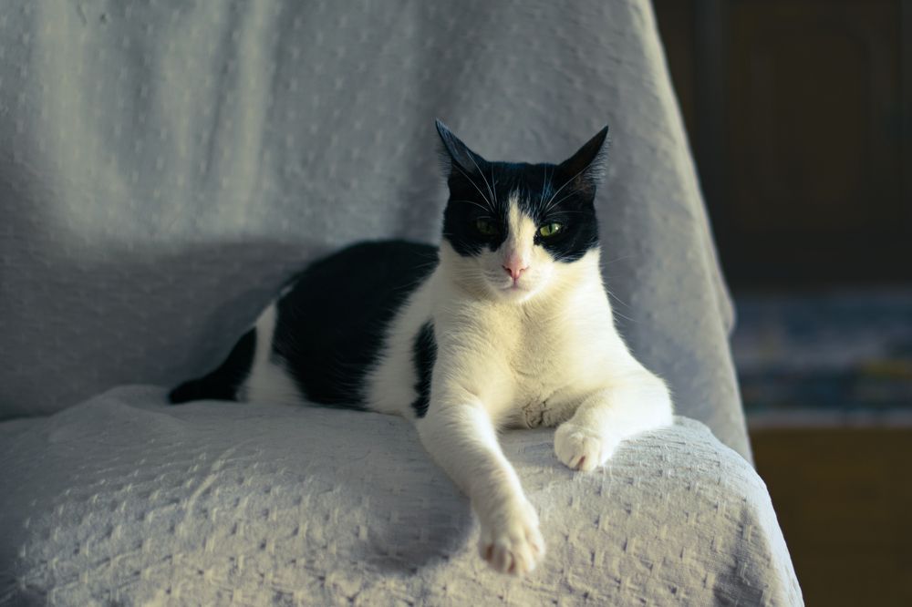 Photograph by DIMITRIOS SIONAKIDIS