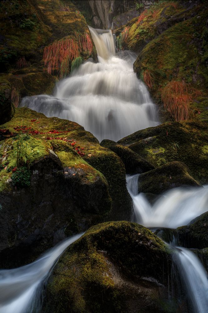 Photograph by Miguel Iglesias