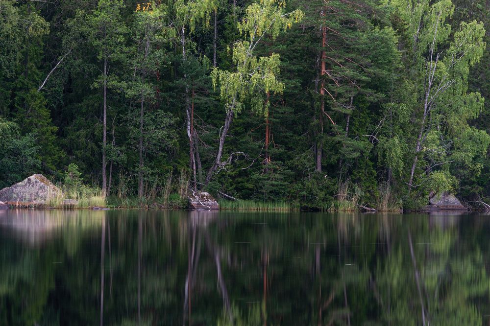 В отражении