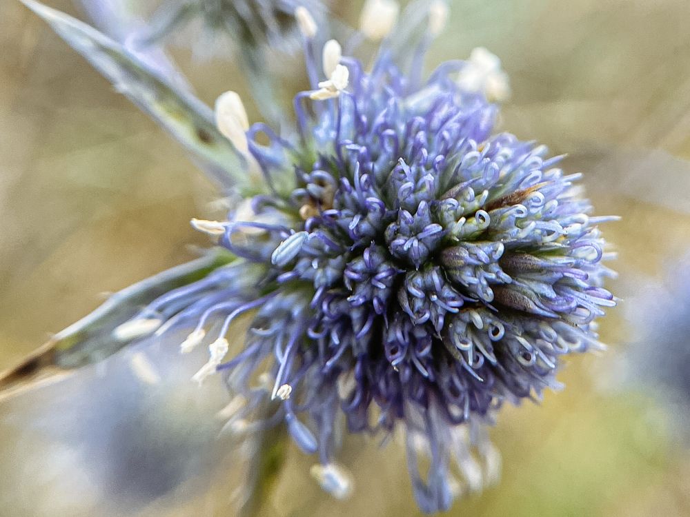 Photograph by Ольга Осинина