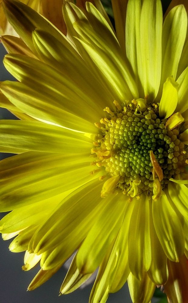 Фотография автора Ольга Кунакова