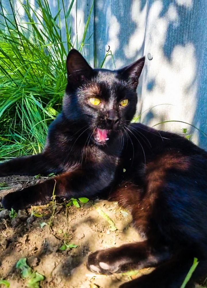 Photograph by Ирина Герлин