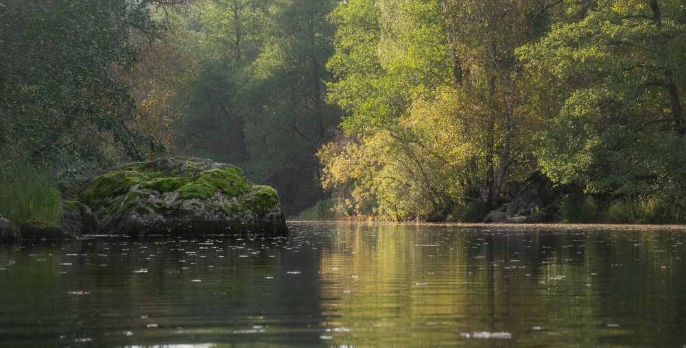 Осенние этюды