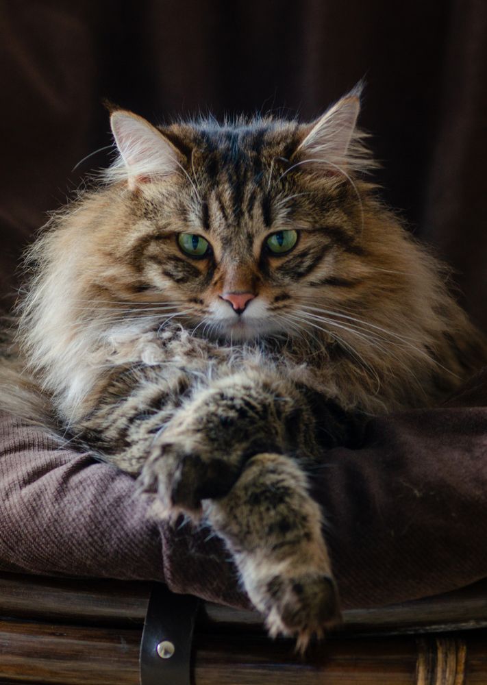 Photograph by Алексей Александрович