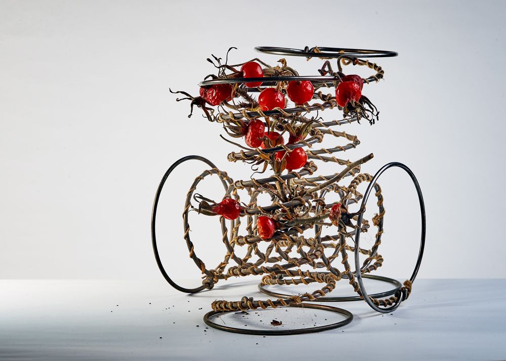 Фотография автора Владимир Борисов