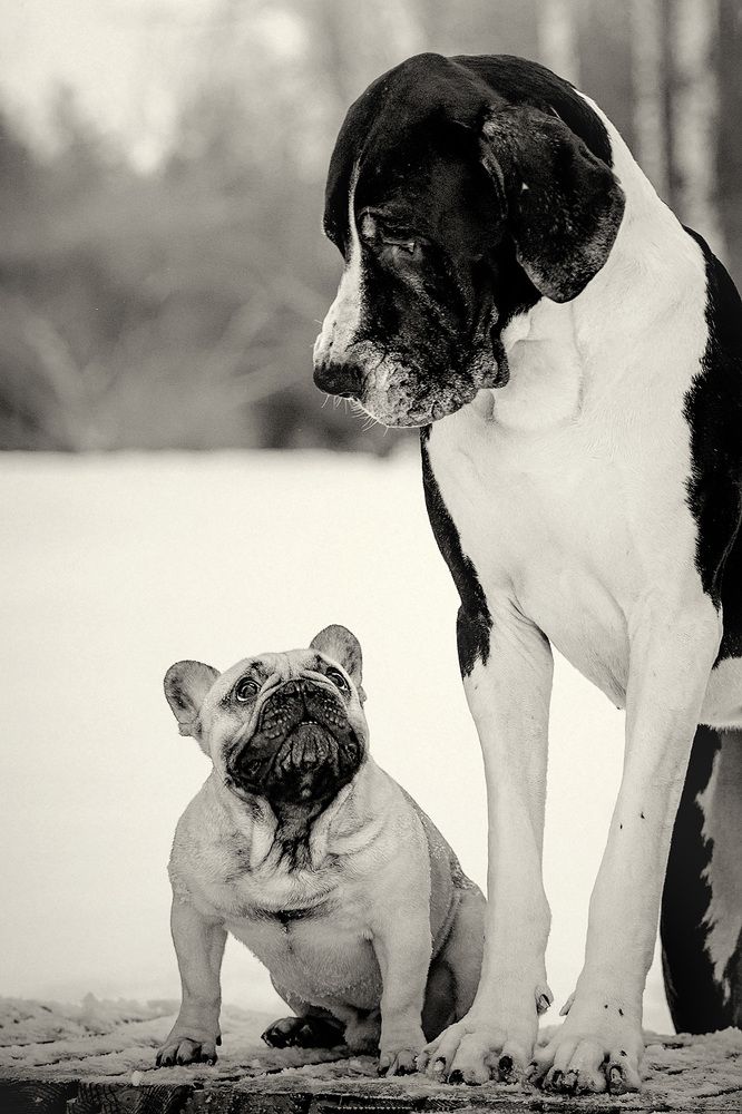 Фотография автора Оксана Серова