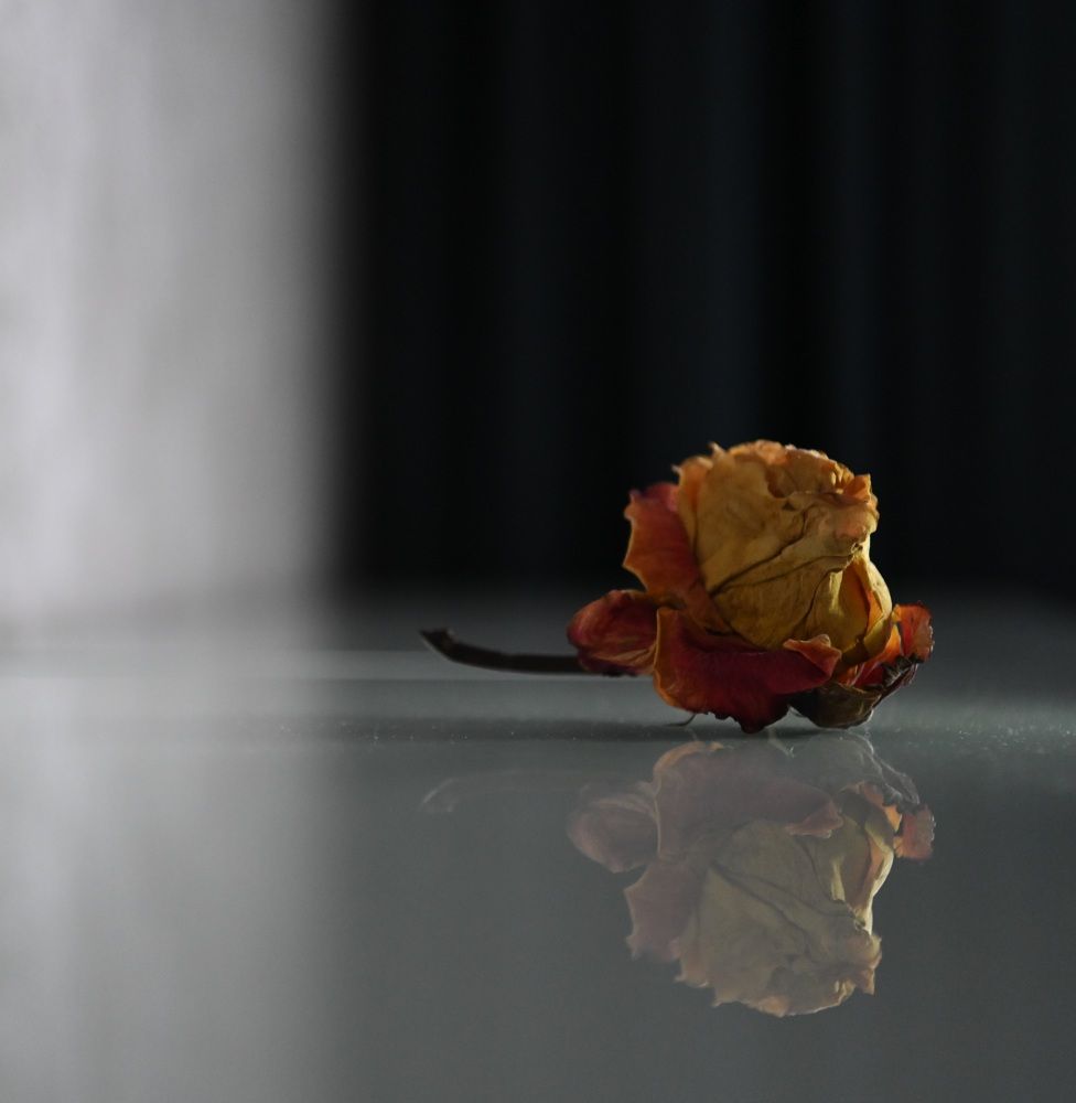 Photograph by Светлана Фесенко