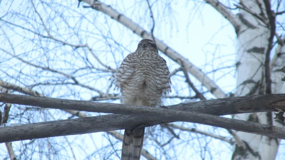 Photograph by Аlessandro