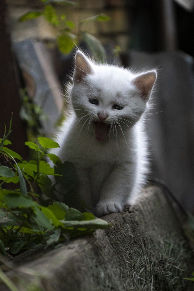 Photograph by Юлия Козельских