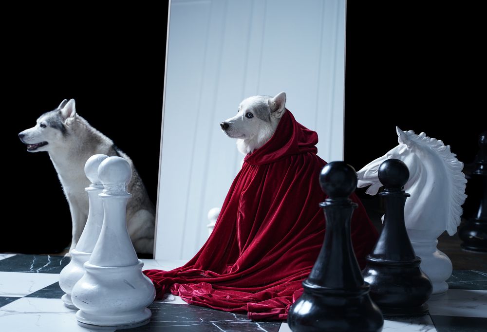 Photograph by Татьяна