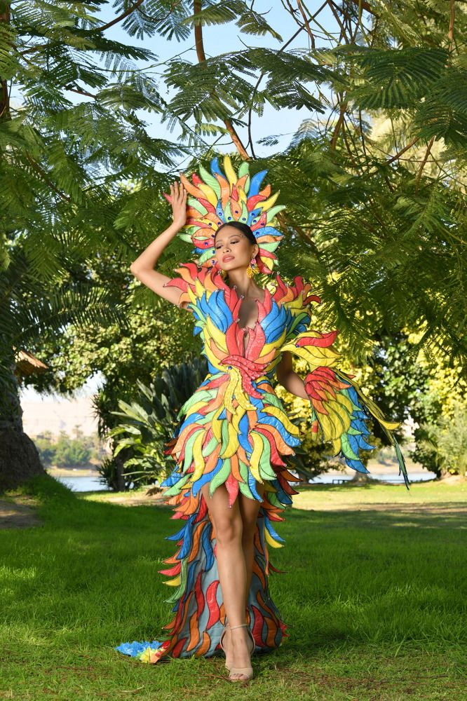 Фотография автора arafa Ahmed