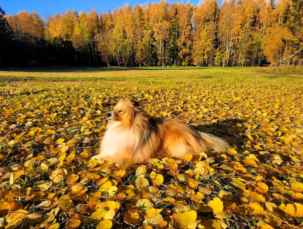 Photograph by Валерия