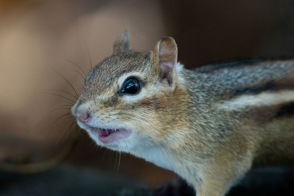 Photograph by Vadim Heinz