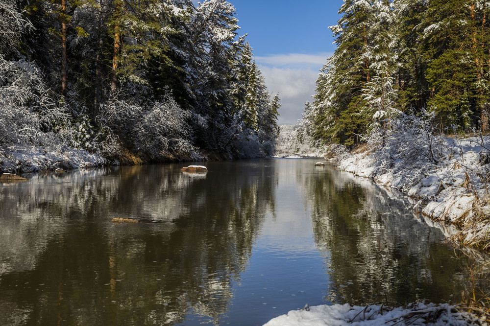 Photograph by Елена Перминова