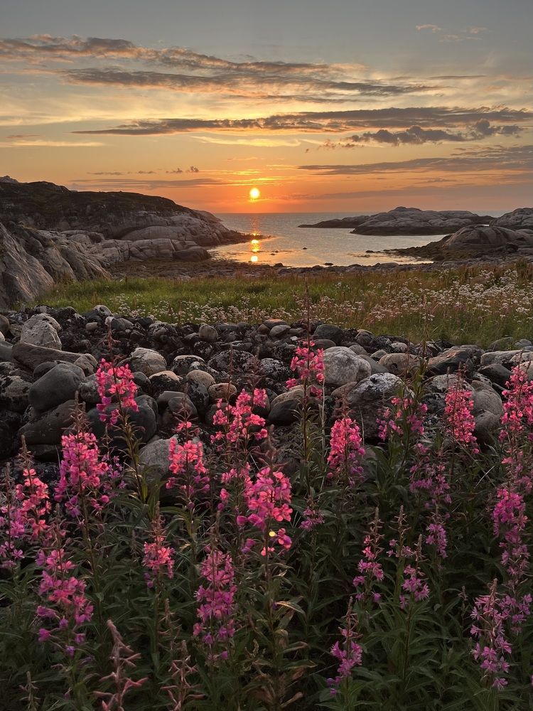 Photograph by Anna Levina