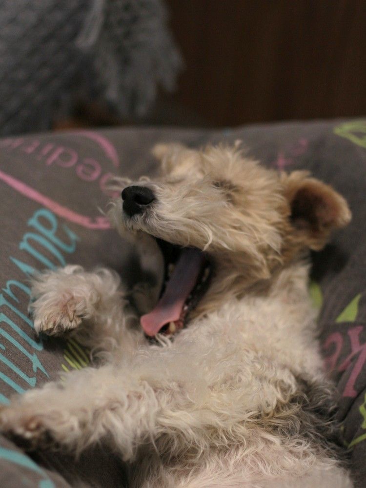 Photograph by Екатерина Сафронова