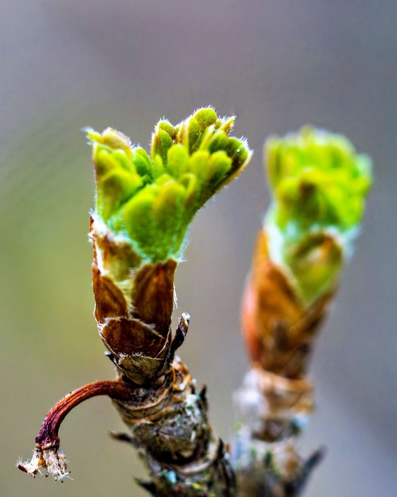 Photograph by Vadim Heinz