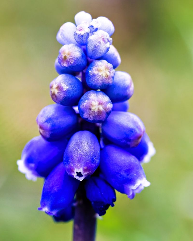 Photograph by Vadim Heinz